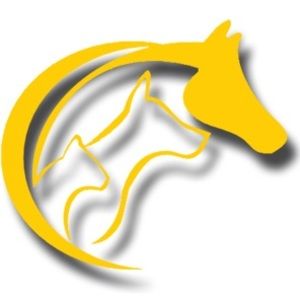 Meet your Posher, Top